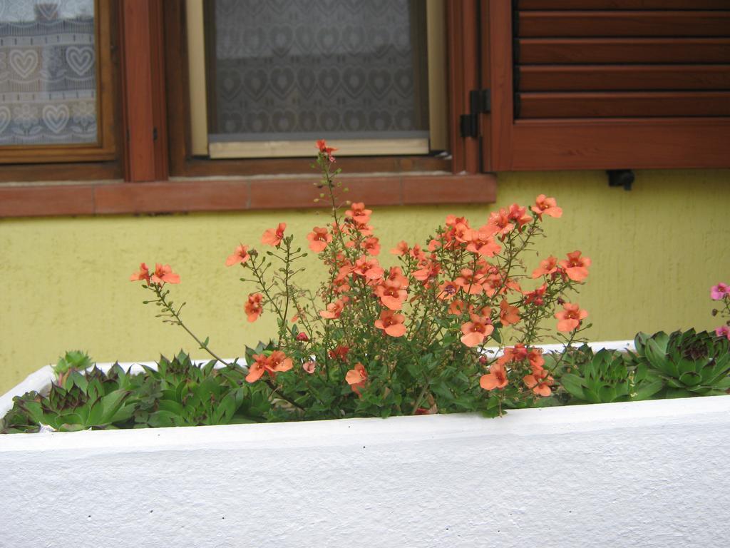 Apartment Meridiana Rovinj Exteriör bild